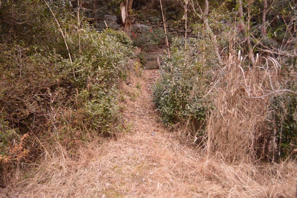 西郷さんが通ったと思われる、現在の里道